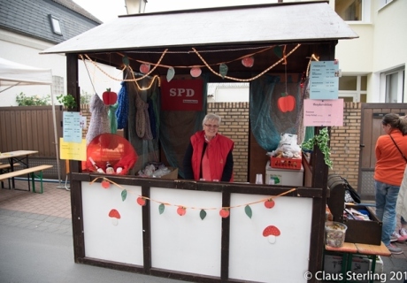 Altstadtfest / 20.5.2016