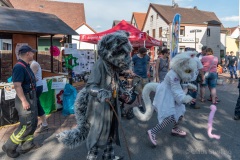 altstadtfest-2018.05.26-6011