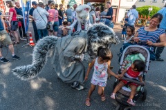 altstadtfest-2018.05.26-6014