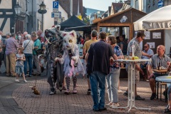 altstadtfest-2018.05.26-6056