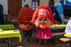 altstadtfest-01_2019.06.15-9836_w