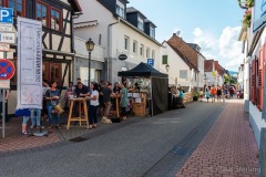 altstadtfest-01_2019.06.15-9928_w