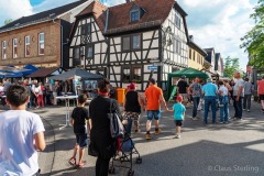 altstadtfest-01_2019.06.15-9929_w