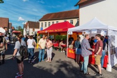 altstadtfest-02_2019.06.15-0014_w