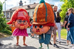 altstadtfest-01_2019.06.15-9859_w