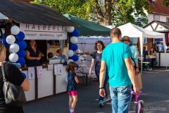 altstadtfest-02_2019.06.15-0017_w