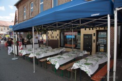 altstadtfest-2017-7828