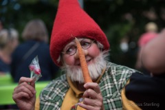 altstadtfest-2017-7925