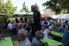 altstadtfest-2017-8061