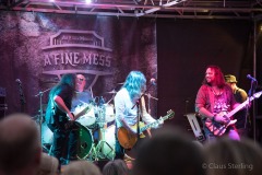 altstadtfest-2017-8116