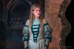 die-dramatische-bhne-6263