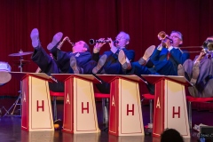 the-swingin-hermlins-7190