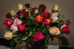 phoca_thumb_l_30j.-kunstkreis-31.10.2018-7557_w