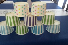 20160601_141030_resized_1_w