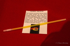 musical_show-dancing-queen-0740