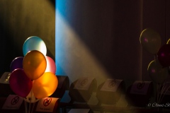 musical_show-dancing-queen-0830