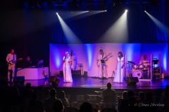 musical_show-dancing-queen-0868