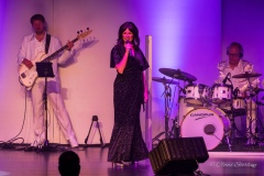 musical_show-dancing-queen-1050