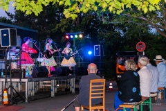 the-wonderfrollein-4902