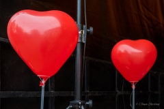 walter-renneisen-5360