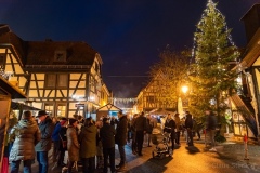 weihnachnachtsmarkt-2019-3341_w