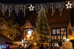 weihnachnachtsmarkt-2019-3352_w