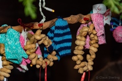 weihnachnachtsmarkt-2019-3371_w