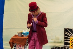 zauberer-wunderlich-und-der-mll-5027