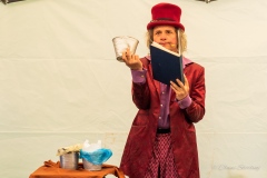 zauberer-wunderlich-und-der-mll-5030