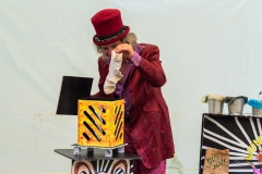 zauberer-wunderlich-und-der-mll-5039